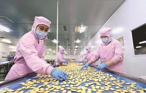 生物技术驱动邱县食品产业新图景 创新、升级与可持续发展