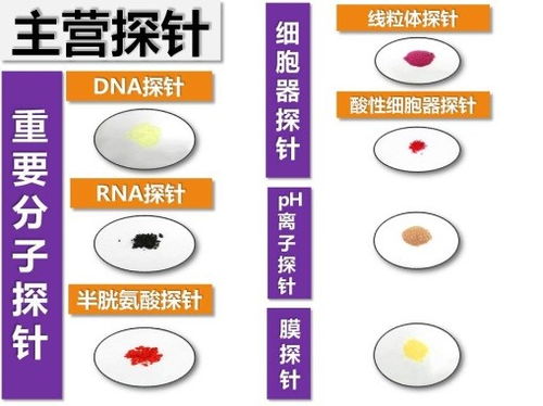 生物医药技术联合实验室 推动医药技术创新的重要平台