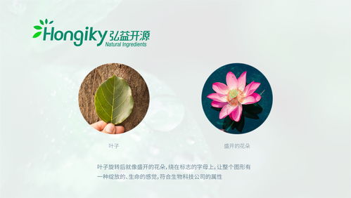 生物科技公司logo设计定稿提案